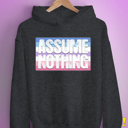 Assume Nothing Bigender Pride Flag Hoodie - Dark Grey Heather